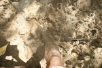 DSC07811