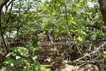 DSC07812