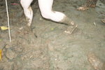 DSC07830