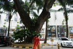 DSC08046