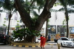 DSC08048