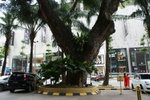 DSC08049