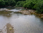 PICT4724