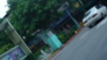 P1100561