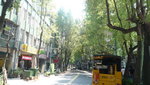 P1100568