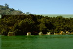 DSC00796