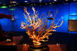 DSC01180