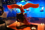 DSC01184