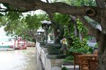 PICT0011
