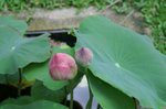 PICT0012