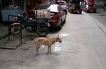 PICT0047