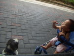 PICT0022