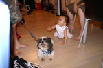 PICT0033