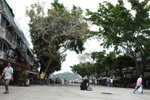 DSC03763