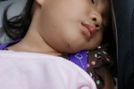 DSC02848