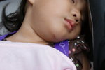 DSC02849