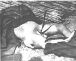 奸殺婦女的屍體 
The corpse of a woman raped and murdered by the Japanese Army.