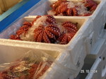 築地魚市場