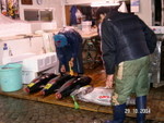 築地魚市場