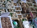 築地魚市場