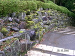 PICT4855