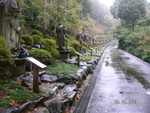 PICT4859
