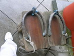 PICT4865