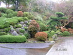PICT4866