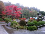 PICT4867