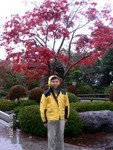 PICT4869