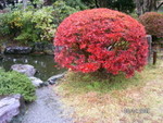 PICT4872