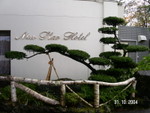 PICT4923