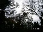 PICT4924