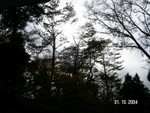 PICT4925