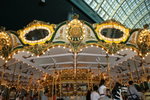 DSC05206