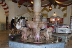 DSC05220