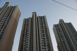 DSC05229