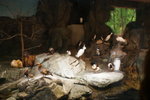 DSC05349