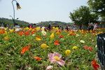 DSC05420
