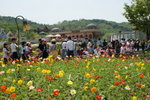 DSC05424