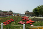 DSC05425