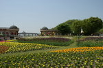 DSC05432