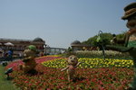 DSC05436