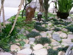 PICT8388