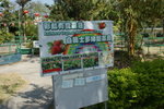 DSC05232