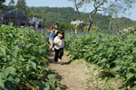 DSC05244