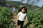 DSC05246