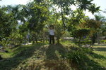 DSC05256