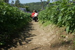 DSC05282