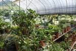 DSC05358